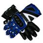 Gants de moto bleus