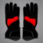 motogp gloves