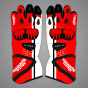 Leather Racing Gloves
