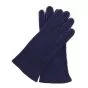 Gants Bleue