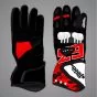 Francesco Bagnaia Winter Test 2025 Gloves