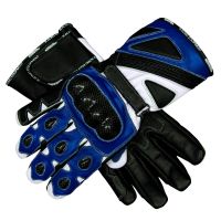 Gants de moto bleus