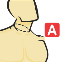 Tour de cou au niveau du col