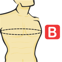 Circonférence de la poitrine