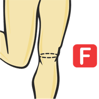 Circonférence du genou