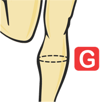 Circonférence du mollet