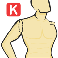 Circonférence du joint du manchon