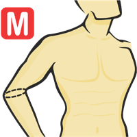 Circonférence du coude