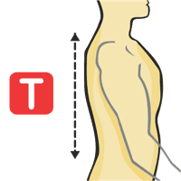 Cou à la taille - Dos