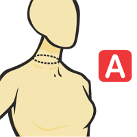 Tour de cou au niveau du col