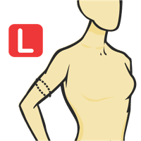 Circonférence du biceps