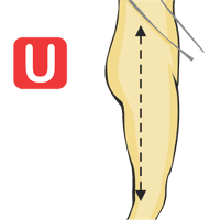 Taille jusqu'au genou