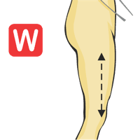 Entrejambe jusqu'au genou